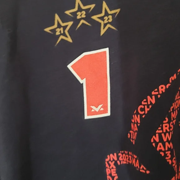 Max Verstappen 2023 World Champion Commemorative T-shirt Large - Picture 3 of 5